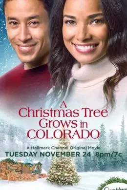 A Christmas Tree Grows in Colorado