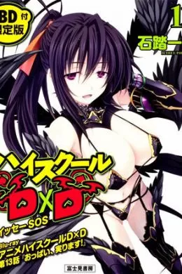 Высшая школа DxD