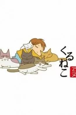 Кошачьи истории